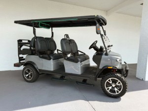 Cement Gray Teko Trophy Plus Limo Golf Cart For Sale